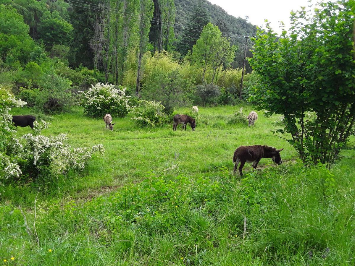 Villa Natur'ânes Mialet  Exterior foto